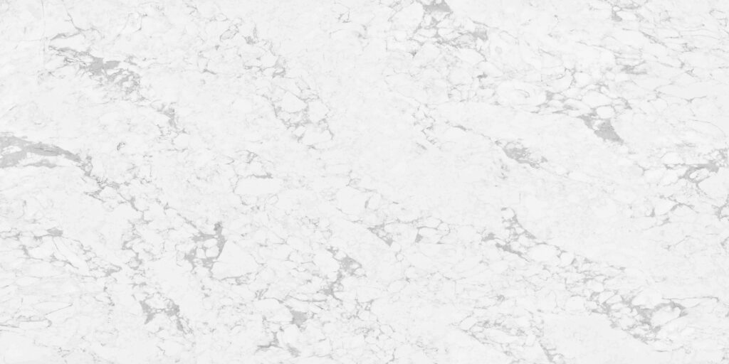 YDL – Blanco Divino